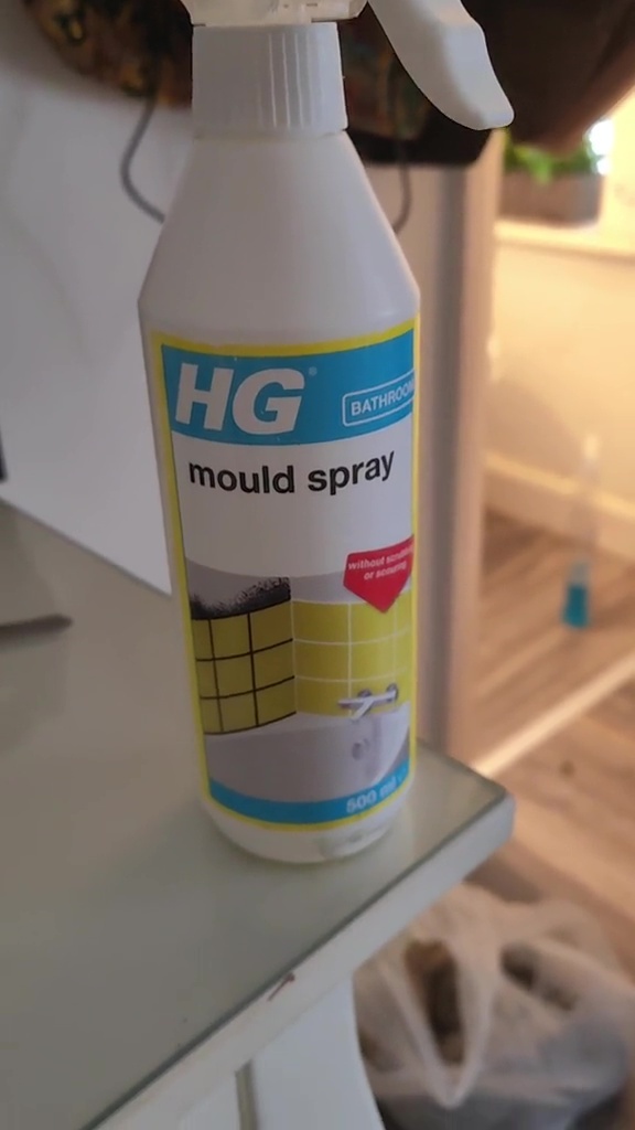 Le « HG Mold Spray » a été réduit à seulement 4,40 £ chez Wickes