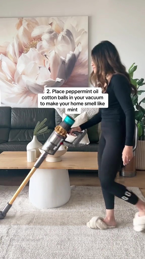 D'un spray DIY à un simple aspirateur, Chantel Mila a partagé les conseils secrets que vous devez essayer pour garder votre maison exempte d'insectes et d'insectes.